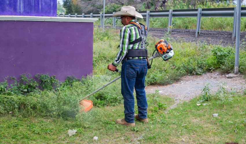 Limpieza de Áreas Verdes Los Sabinos