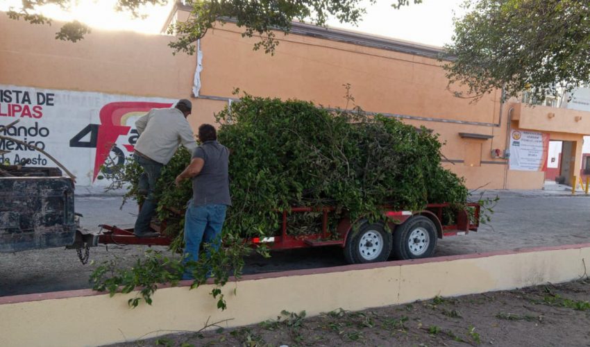 Labores de limpieza en las principales calles y el retiro de ramas en la emblemática Plaza Juárez