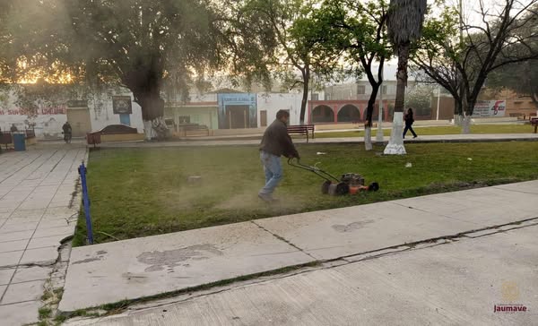 Labores de mantenimiento en la Plaza Hidalgo y Juárez